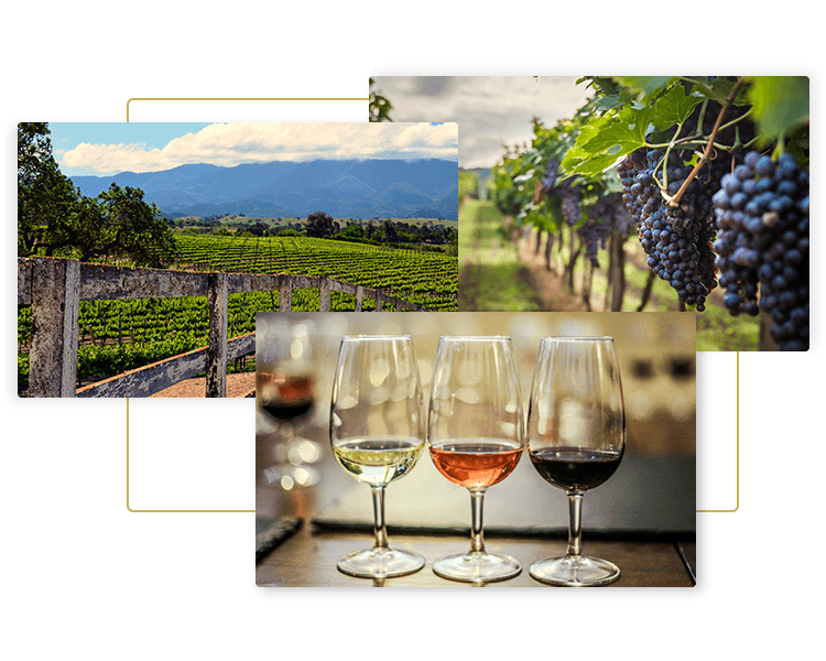 Images of vineyards and wine glasses for Go Luxe limo wines tours for Southern California in luxury Mercedes Sprinter limo vans