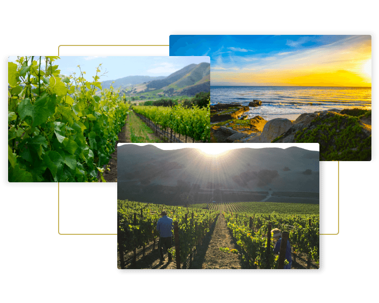Santa Barbara County California Wine Region Tours