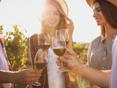 Friends clinking glasses of red wine at vineyard on sunny day, closeup