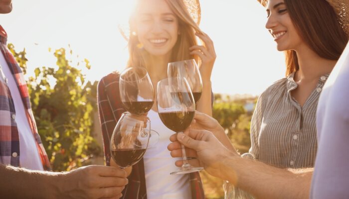 Friends clinking glasses of red wine at vineyard on sunny day, closeup
